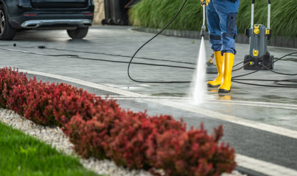 Best Sidewalk and Walkway Cleaning  in USA